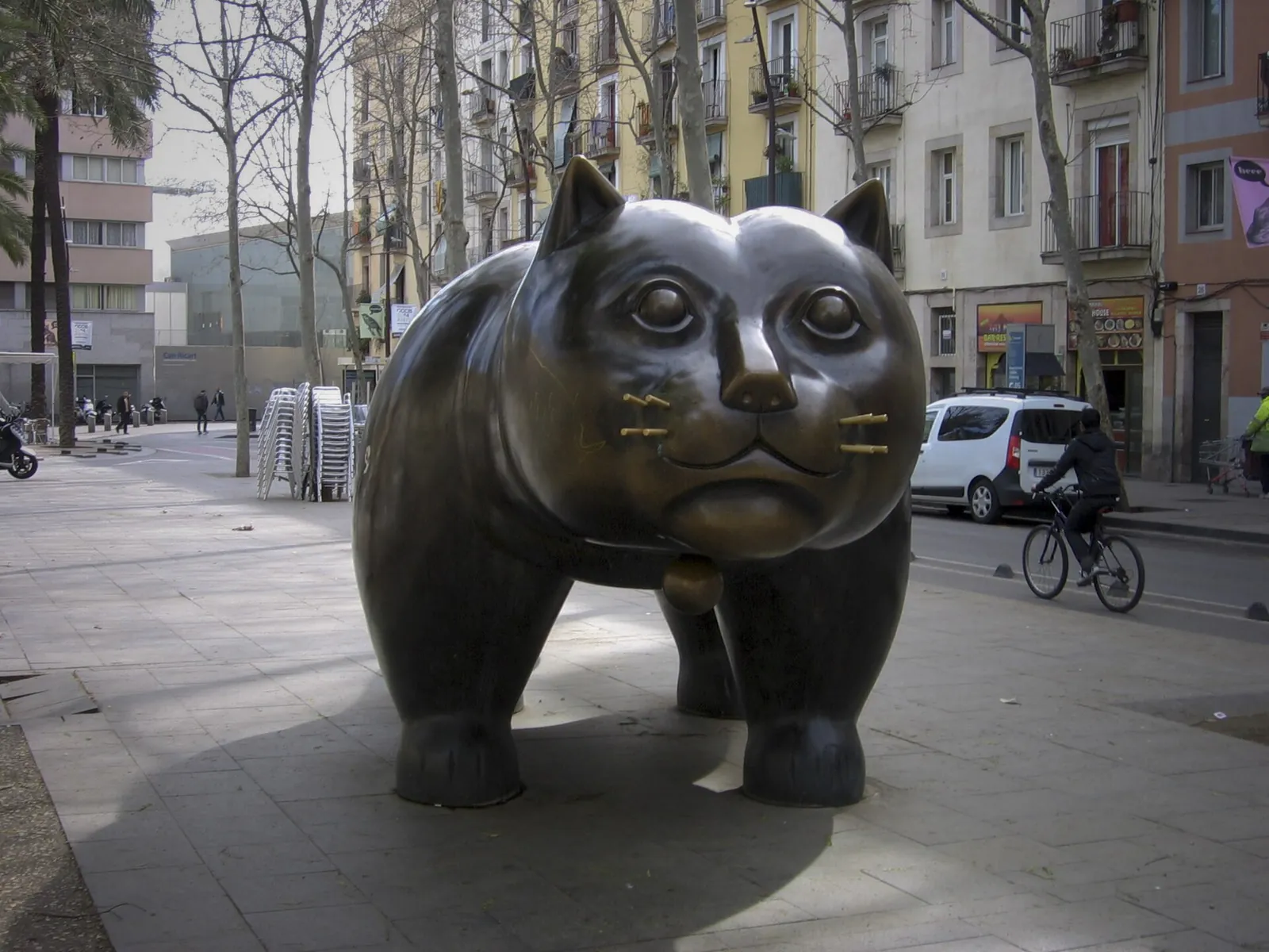 Gat de Botero