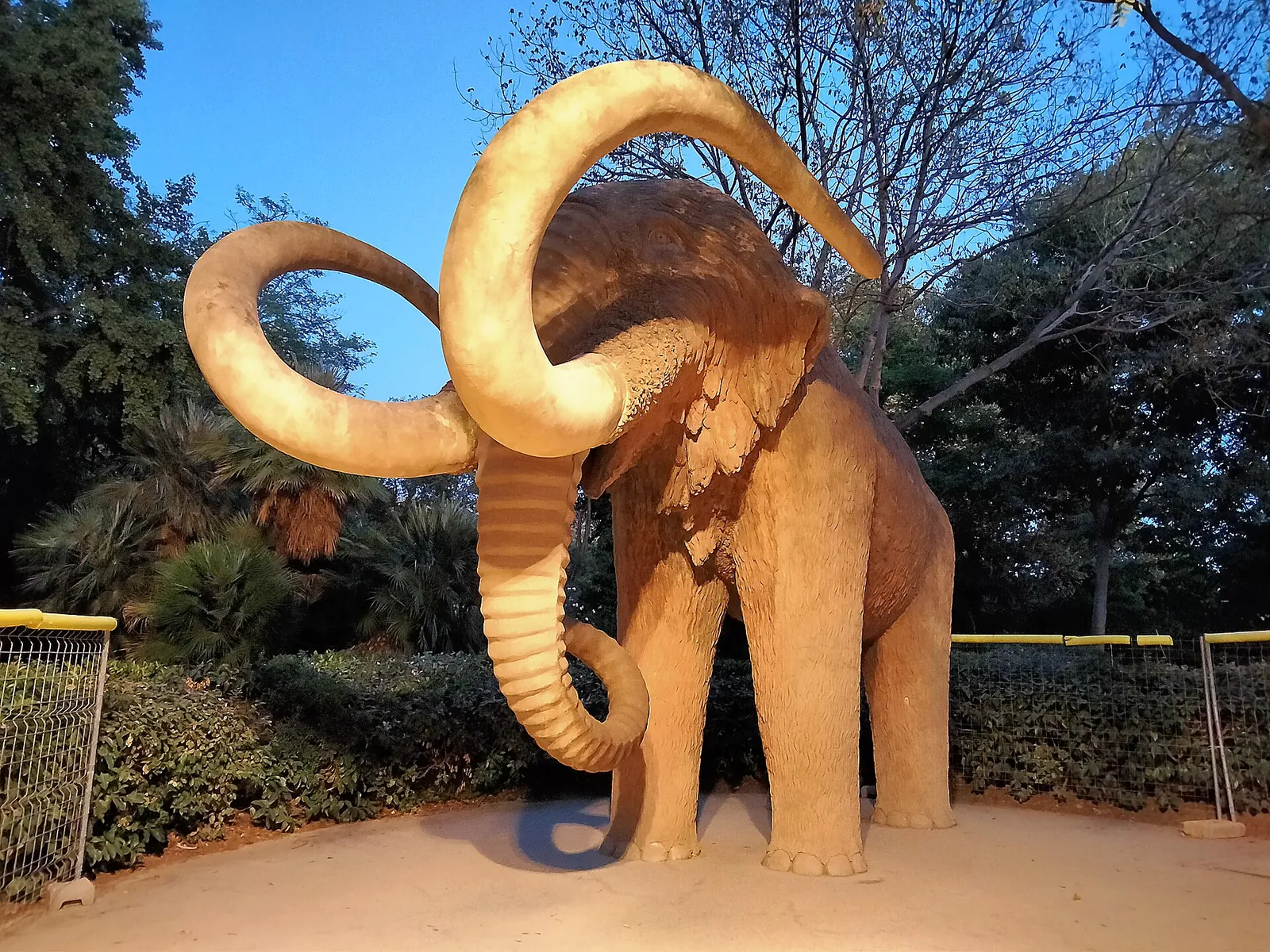 Mamut