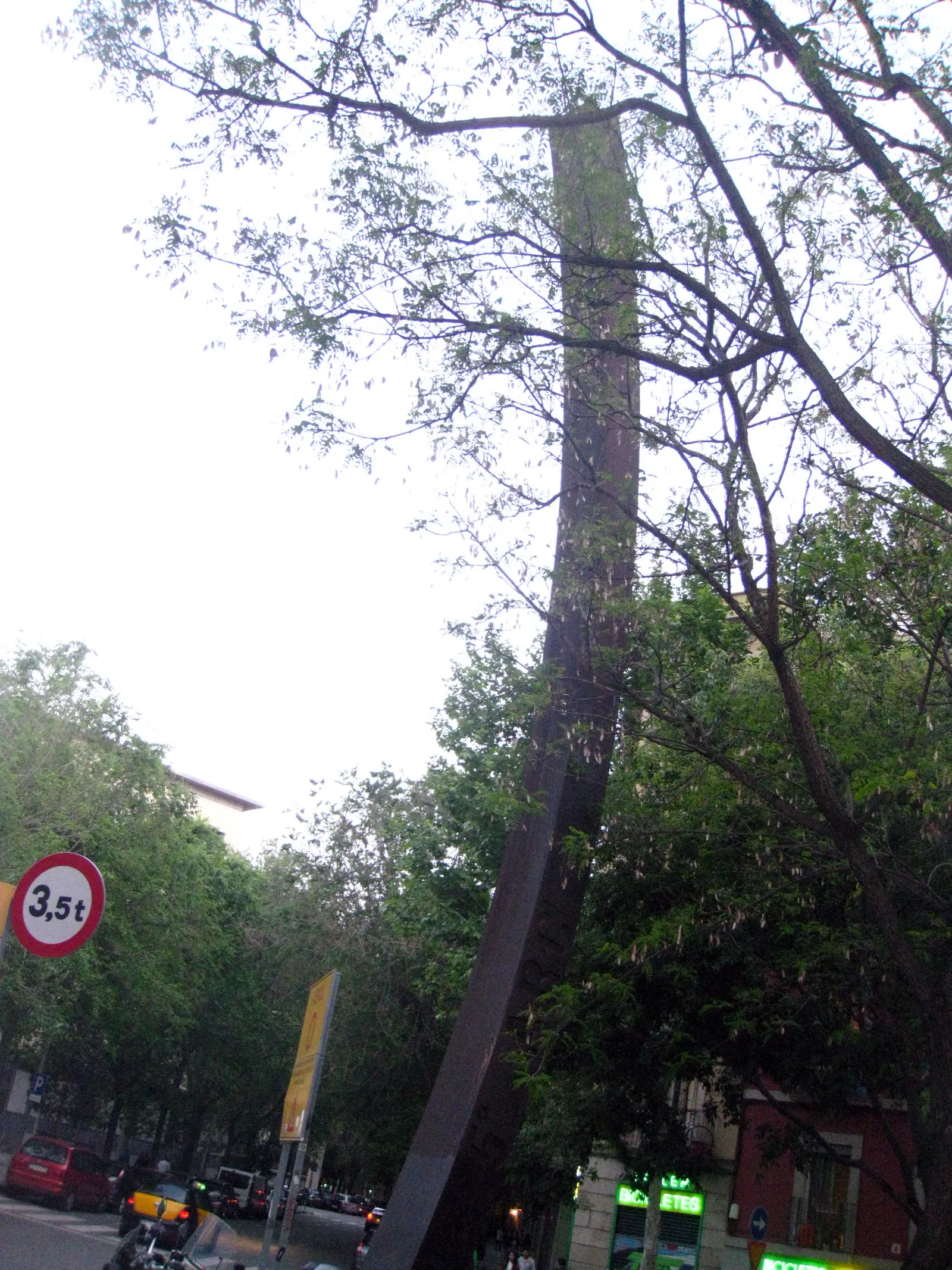 Arc 44,5º