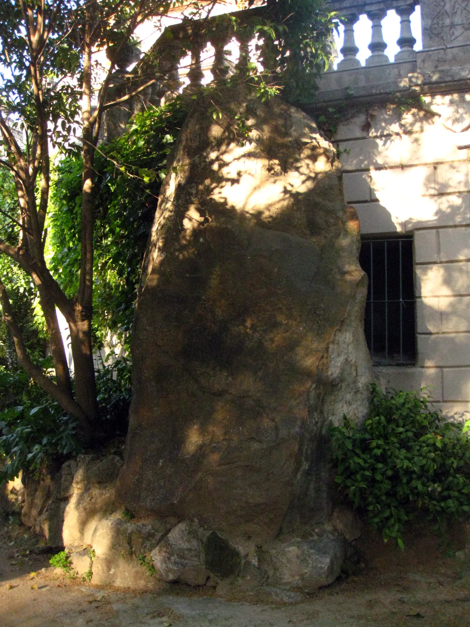Festa de l'Arbre
