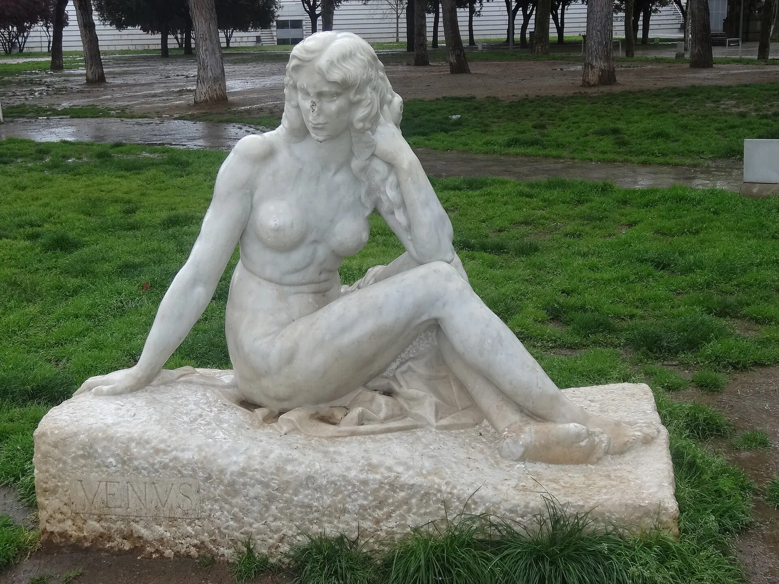 Venus moderna