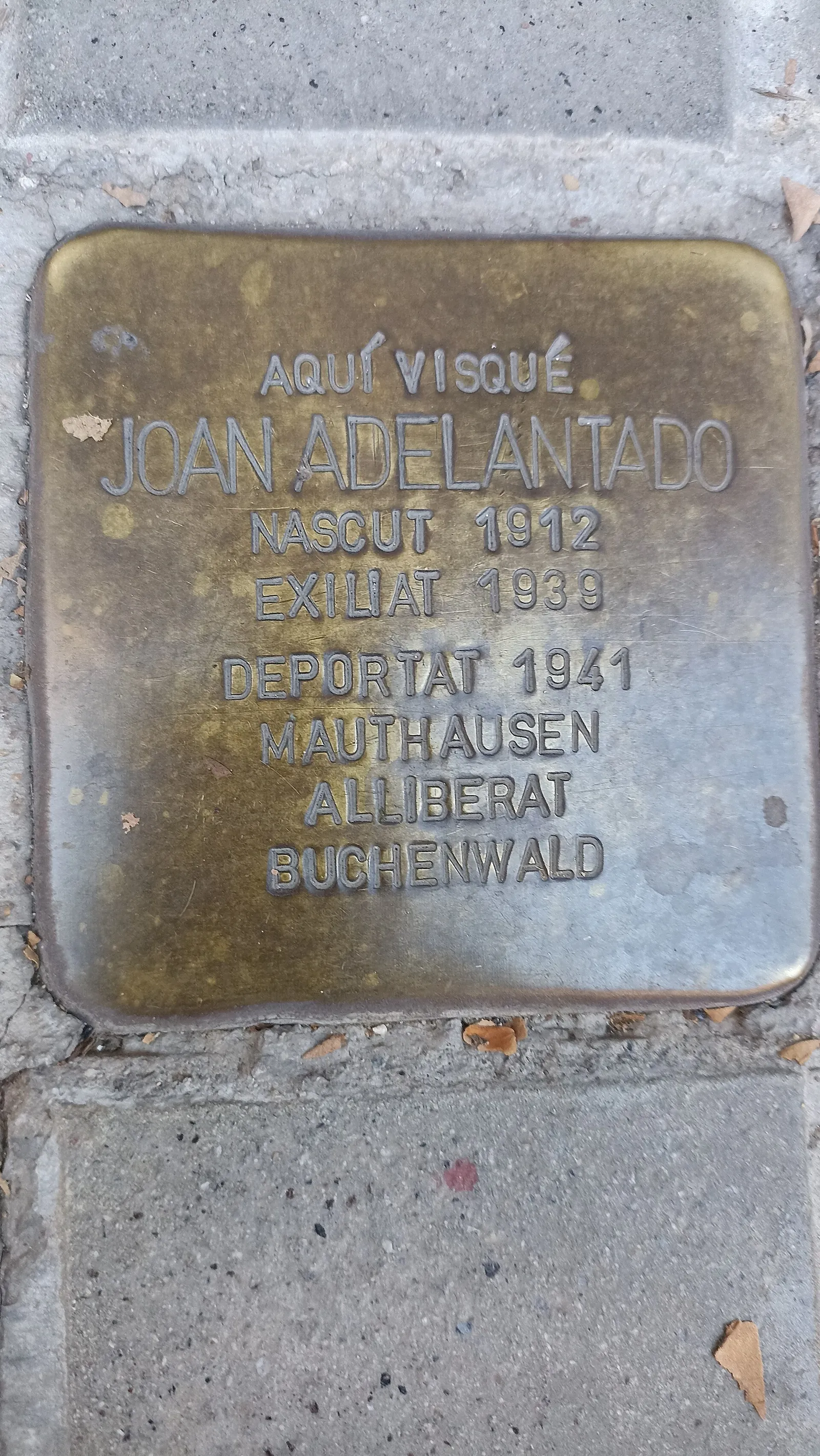 Joan Adelantado
