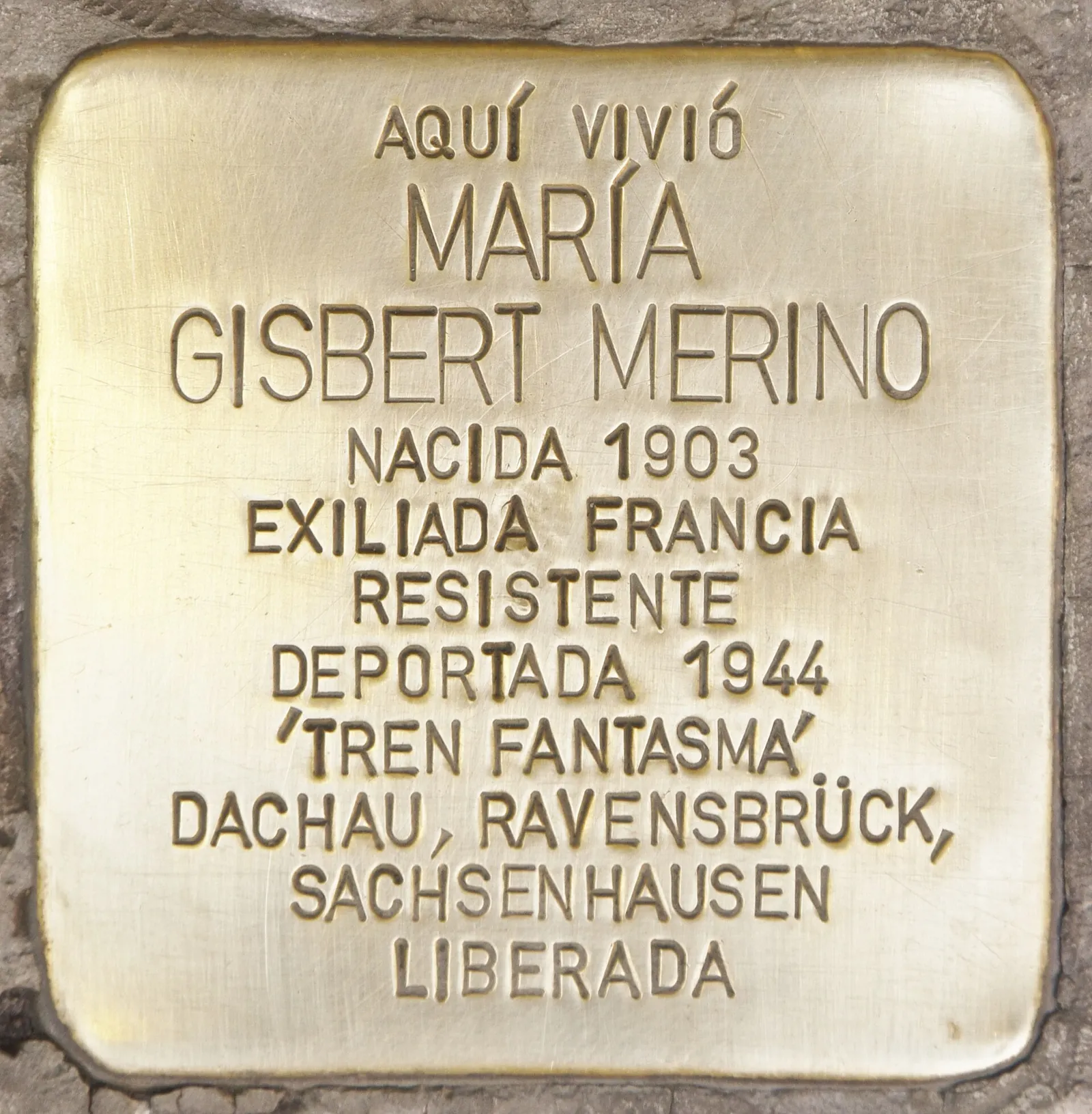 María Gisbert Merino