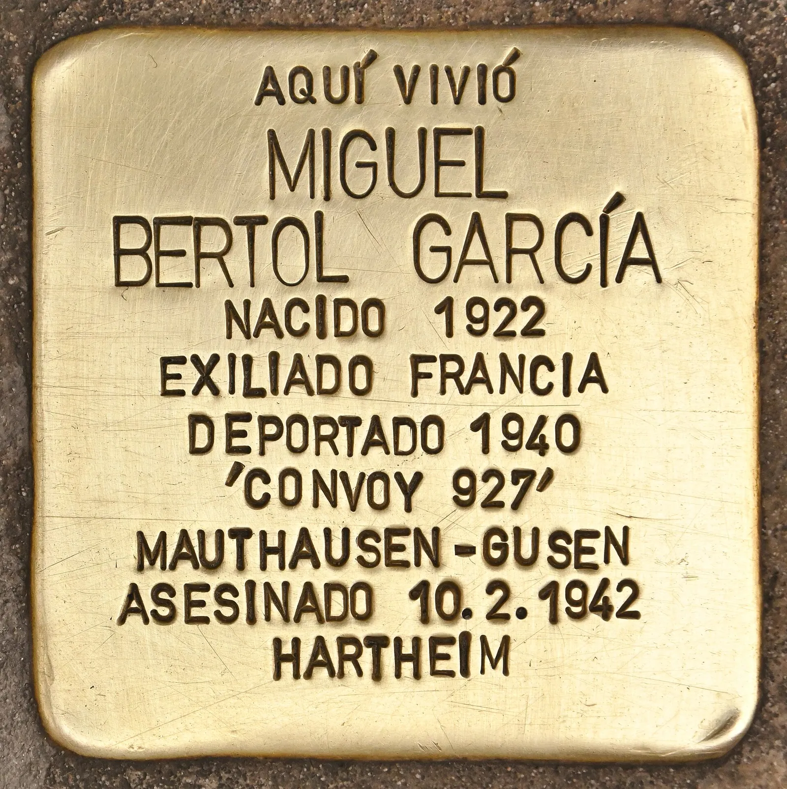 Miguel Bertol García