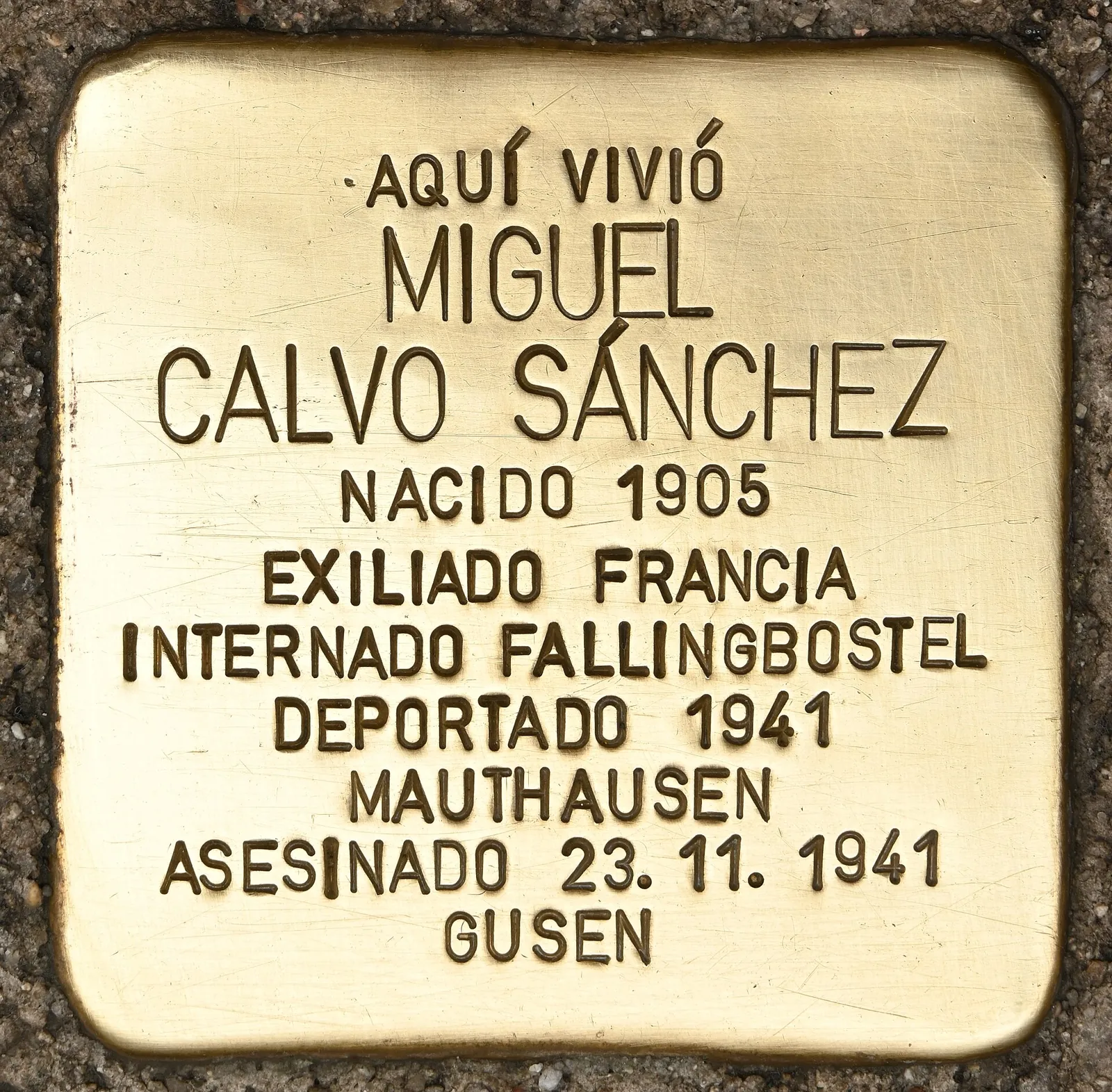 Miguel Calvo Sánchez