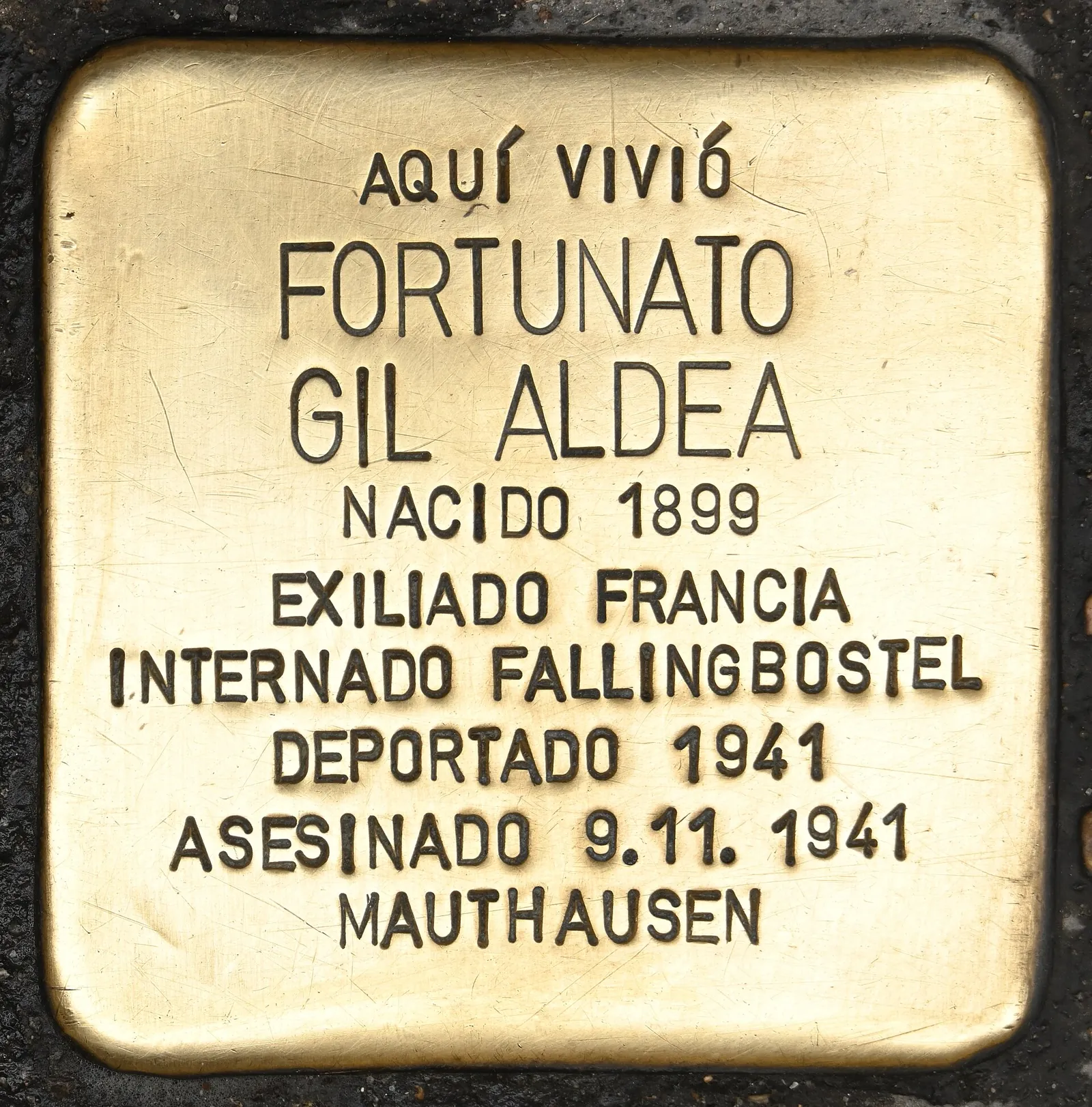 Fortunato Gil Aldea