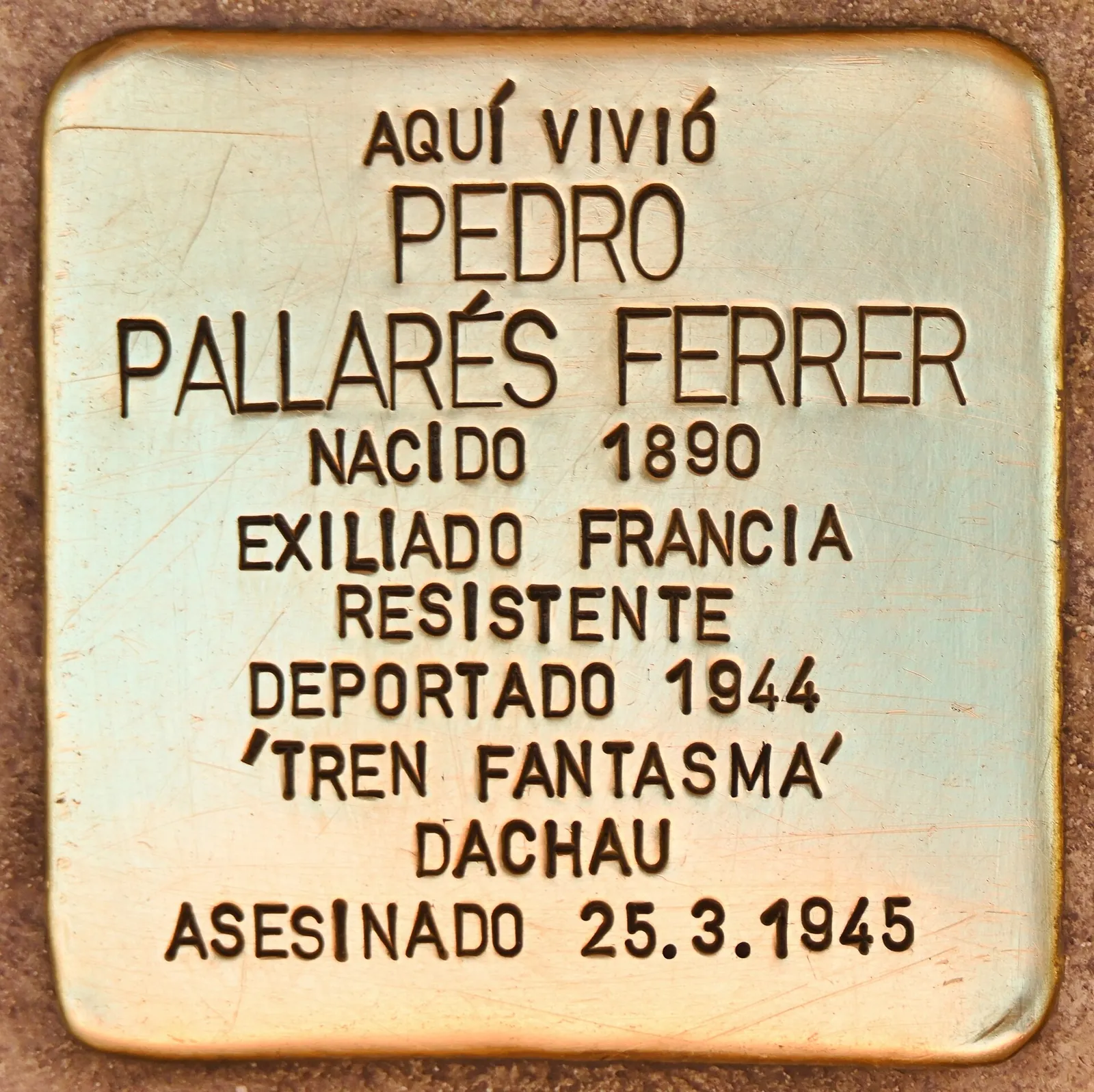 Pedro Pallarés Ferrer