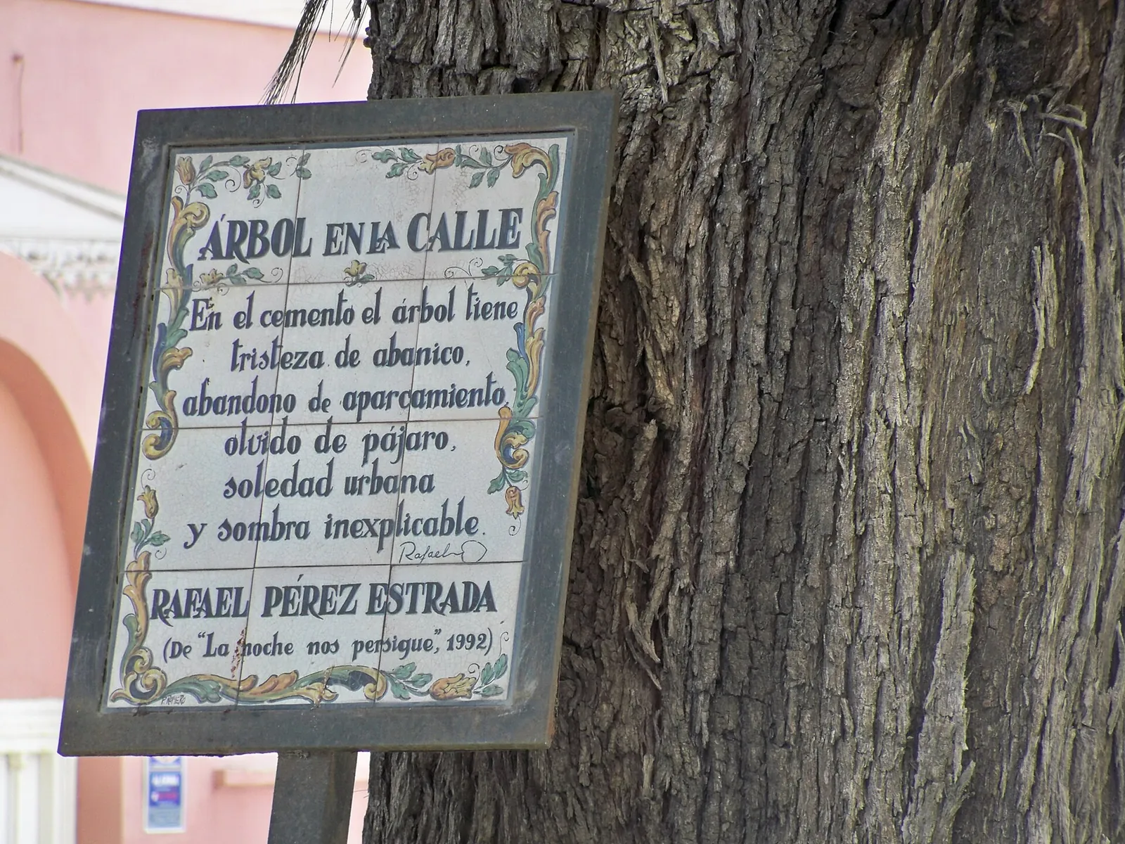 Árbol en la Calle
