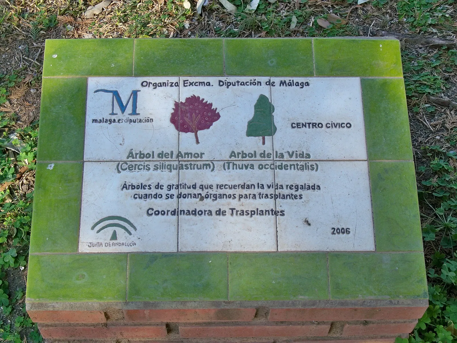 Placa a la Donación de Órganos para Trasplantes