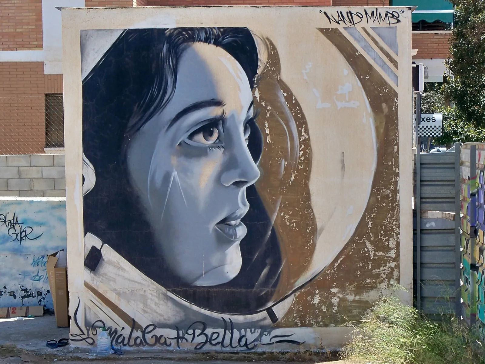 Women Astronauts