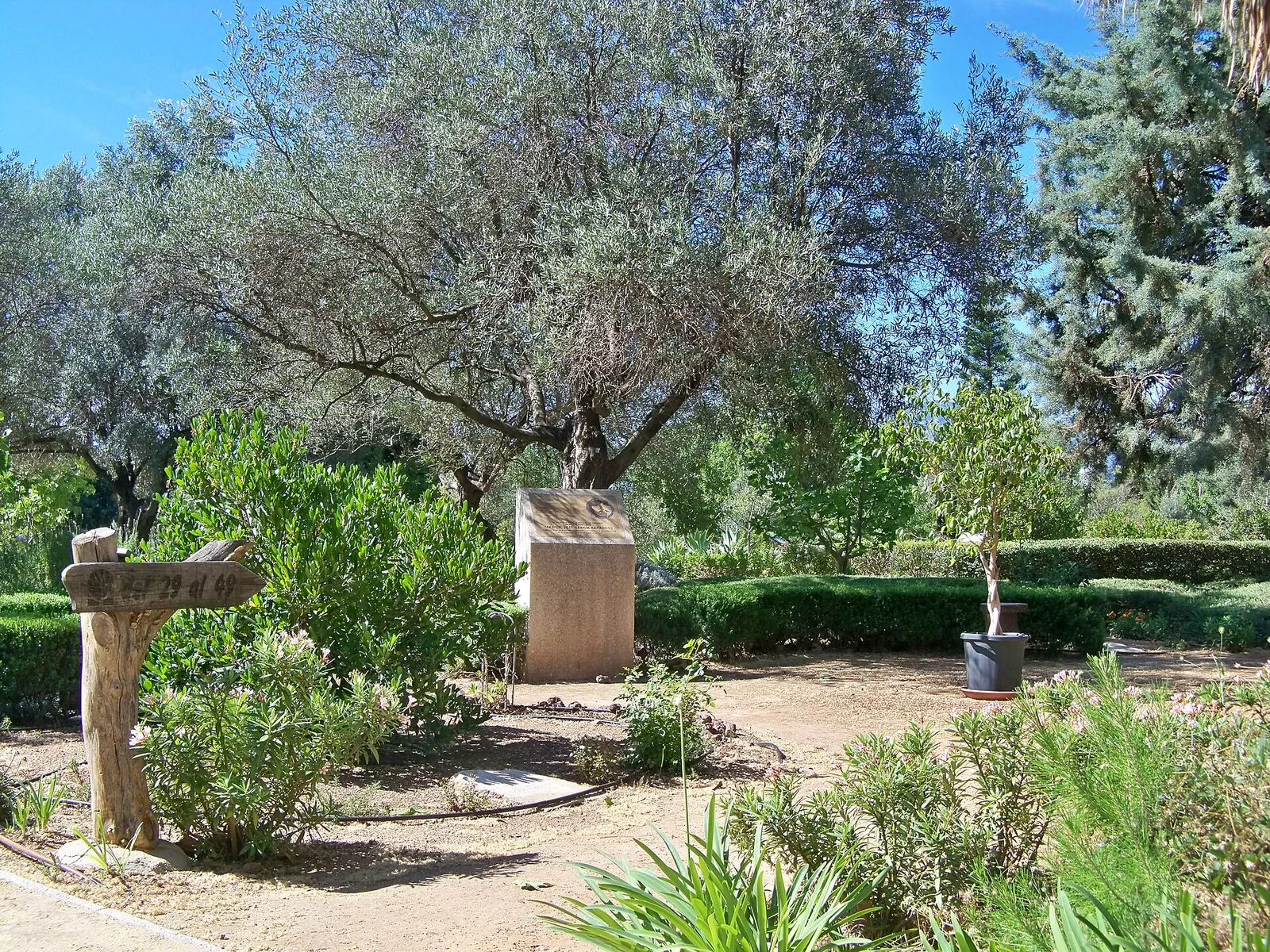 Monumento a Manuel José García Caparrós