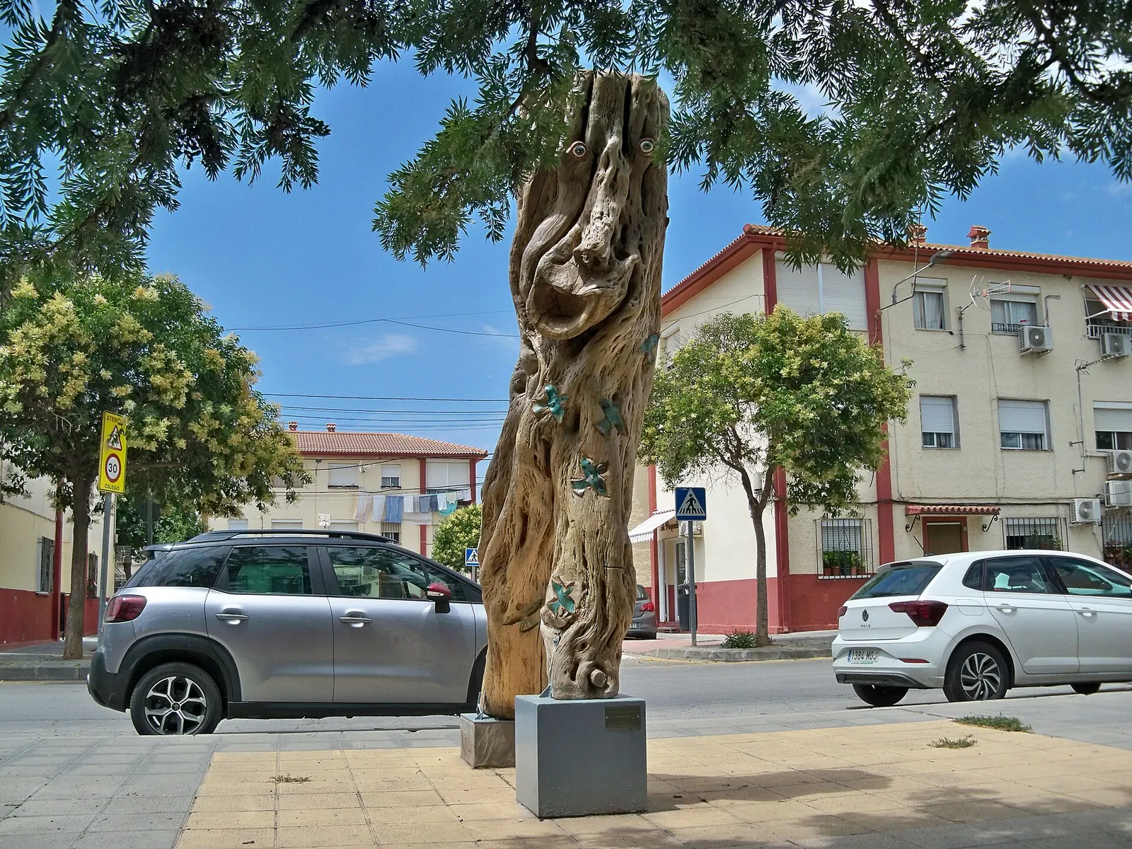 Pachufo de los Bosques