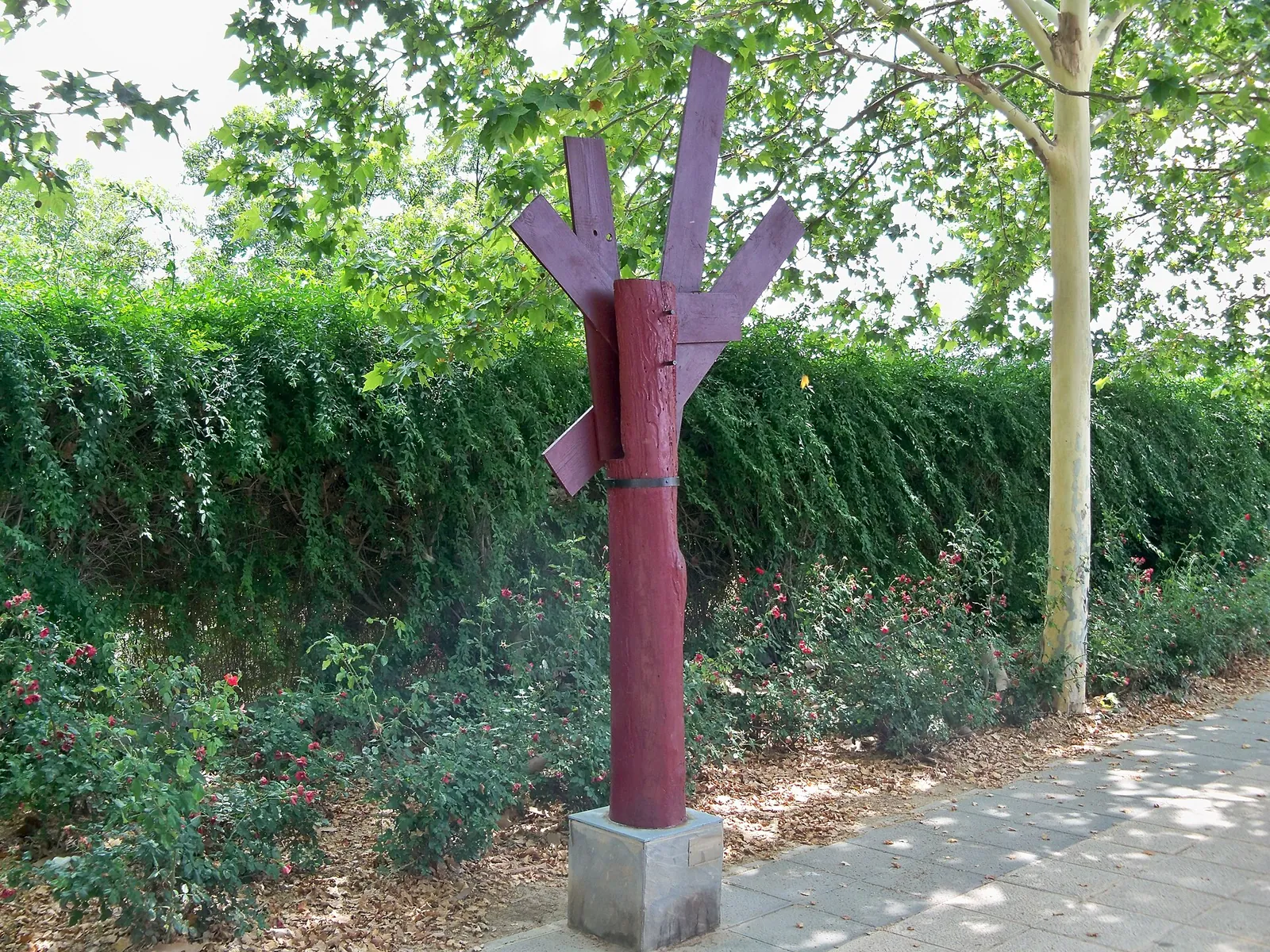 La Sombra Errante