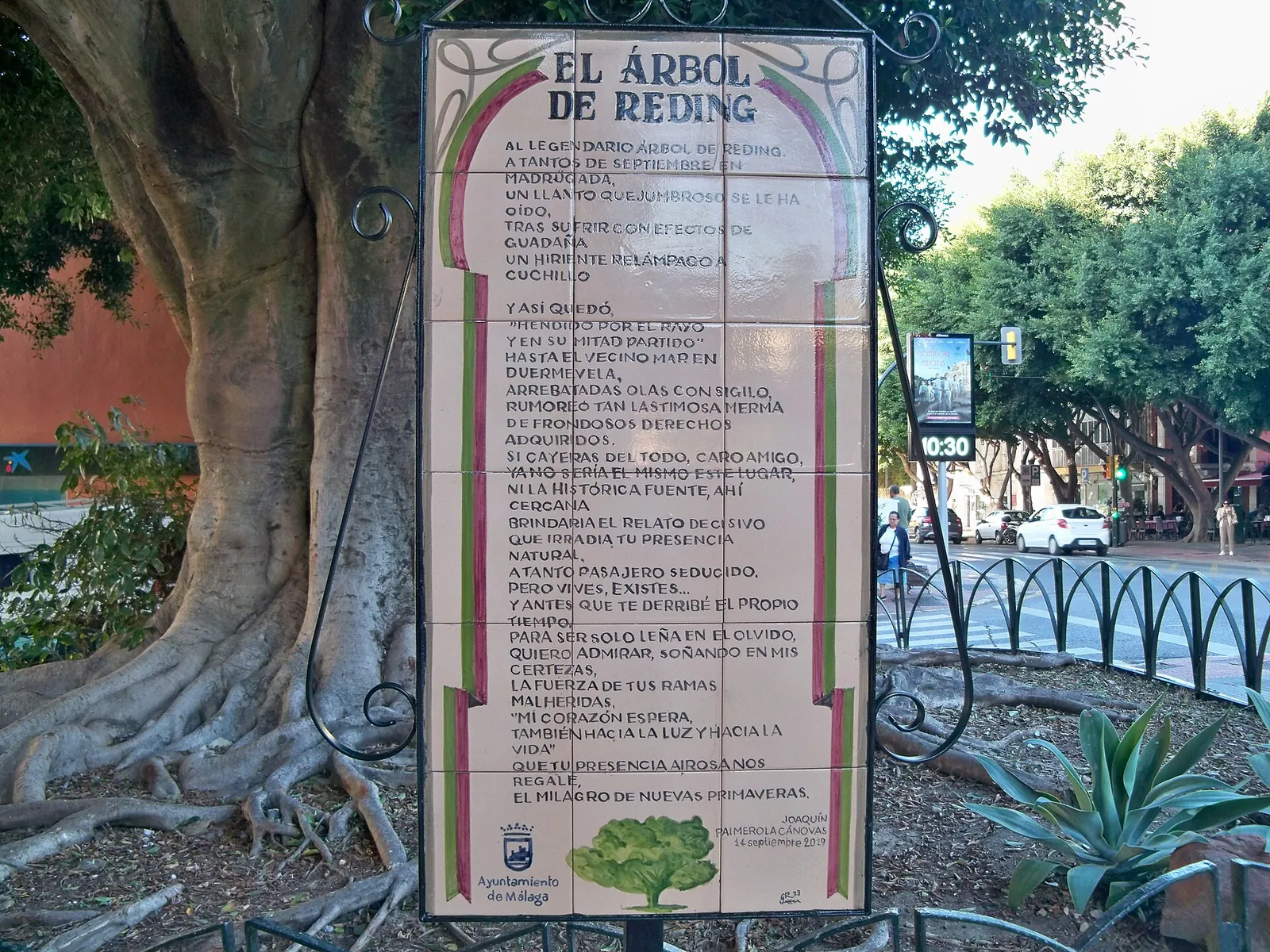 El Árbol de Reding