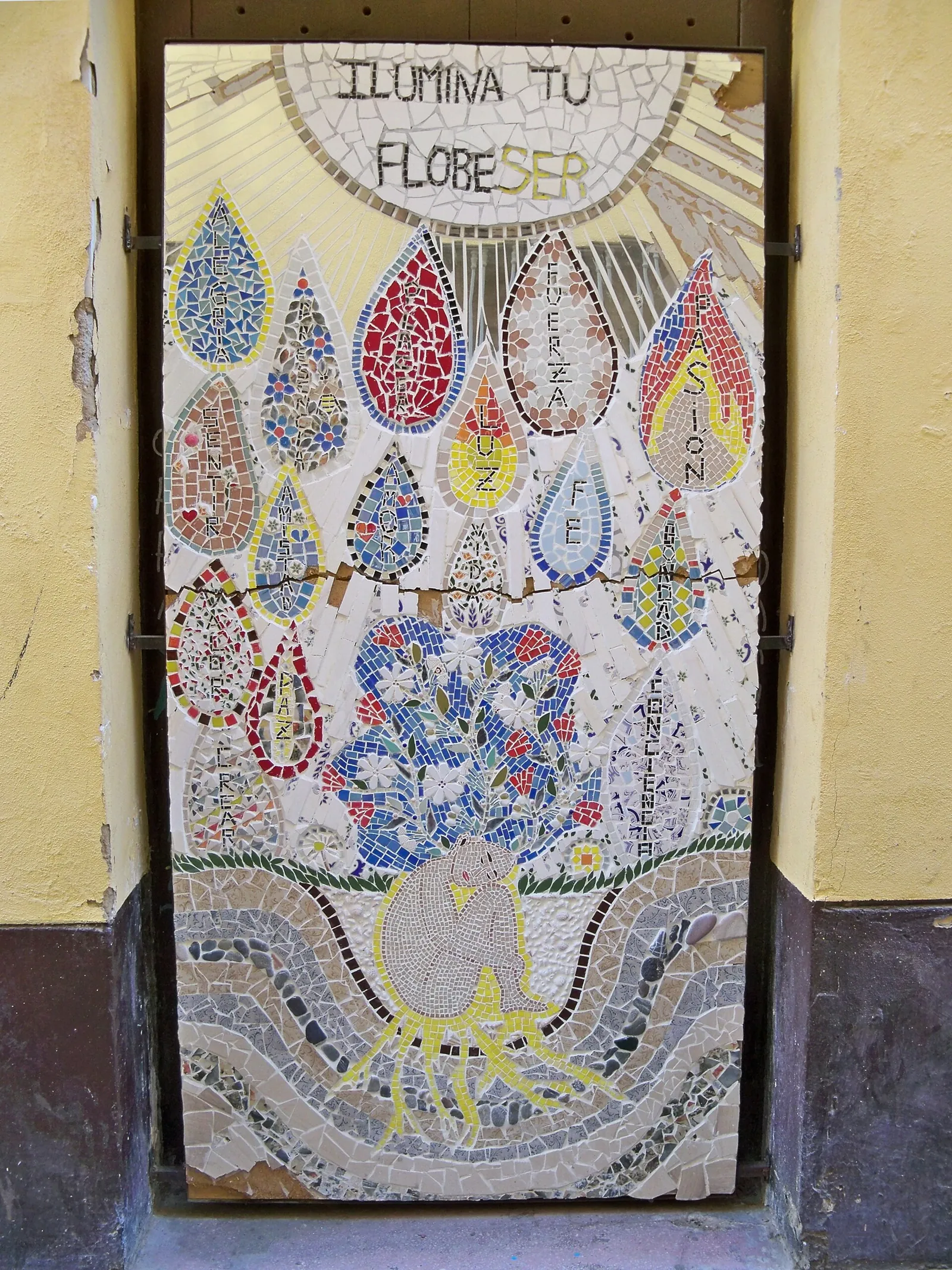 Mujer Semilla