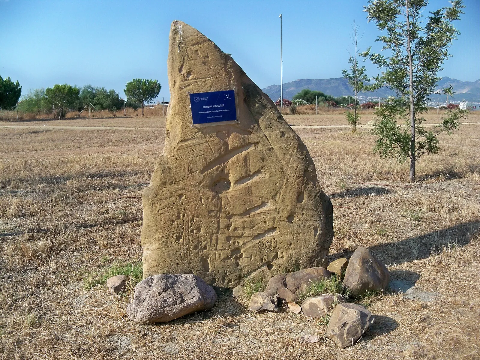Placa a la Primera Arbolada de la Universidad de Málaga
