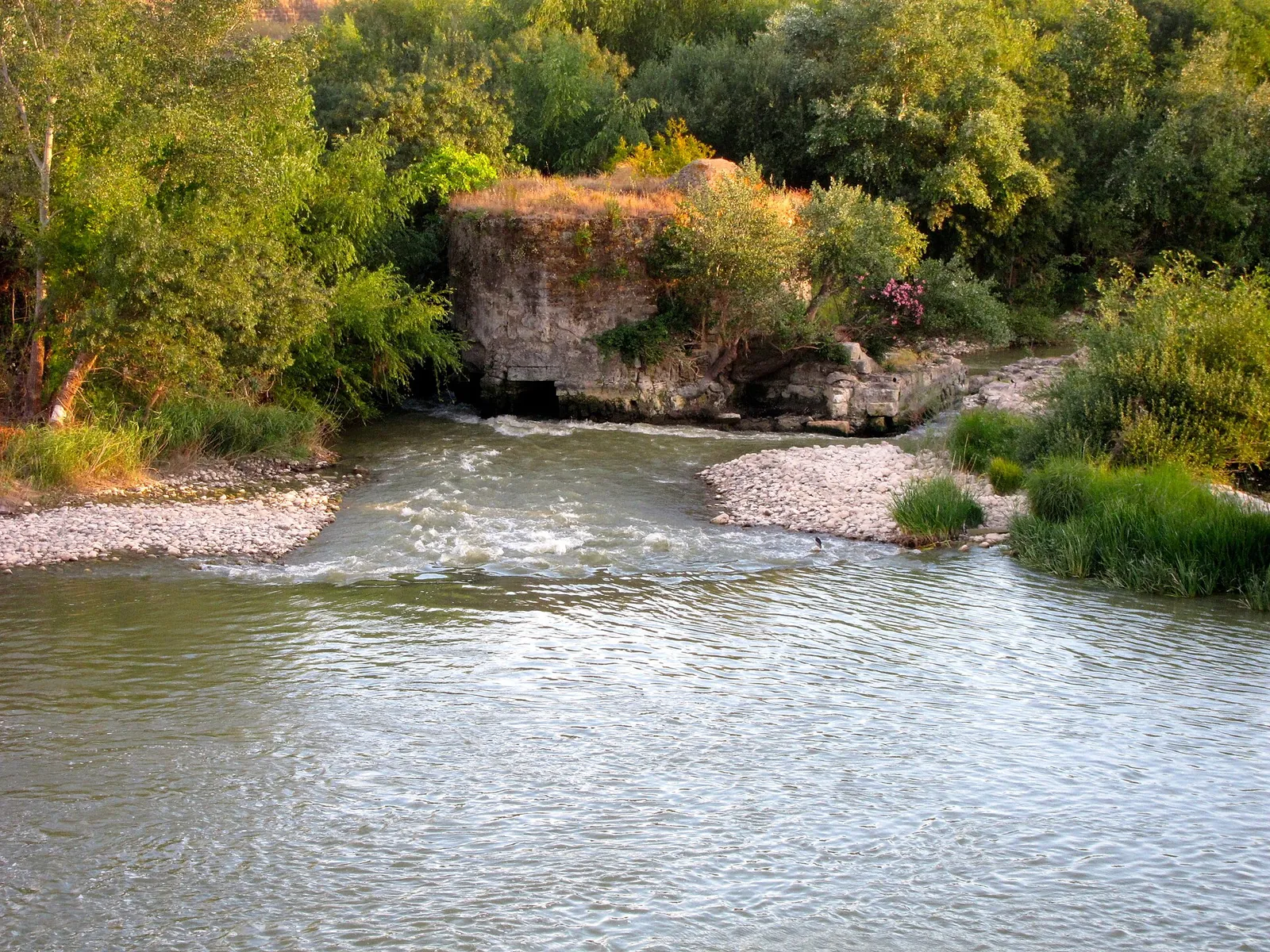 Molino de Enmedio